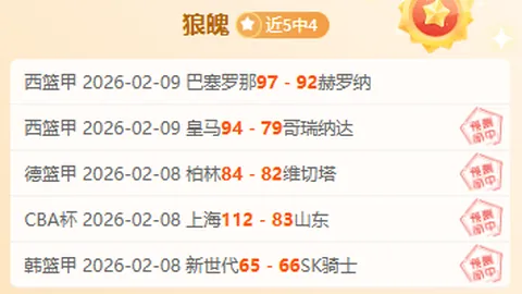 阿根廷女足2025世界杯简介